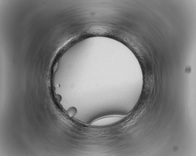 X0000098220399200805221653
