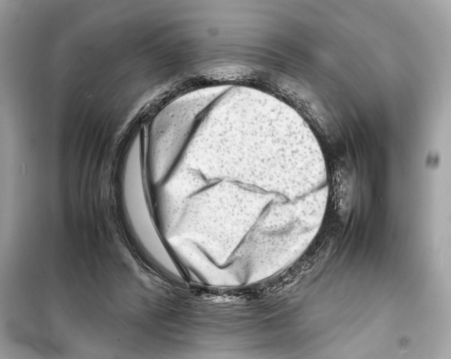 X0000098220400200805221653