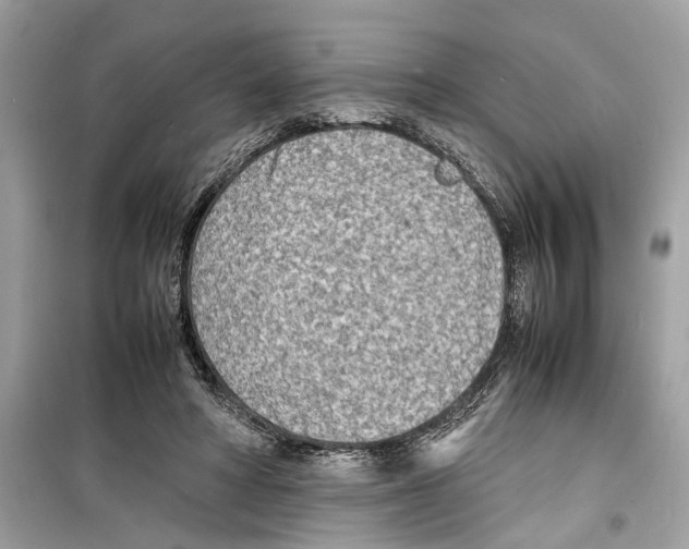 X0000098220402200805221653