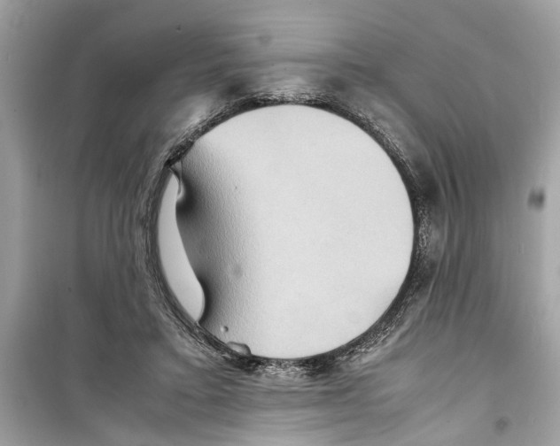 X0000098220403200805221653