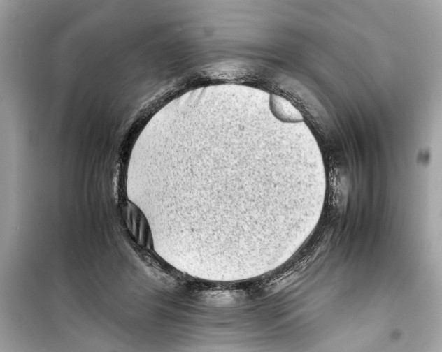 X0000098220404200805221653