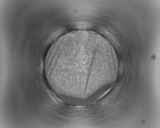 X0000098220405200805221653