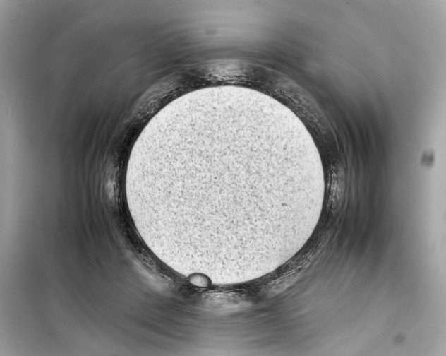 X0000098220408200805221653
