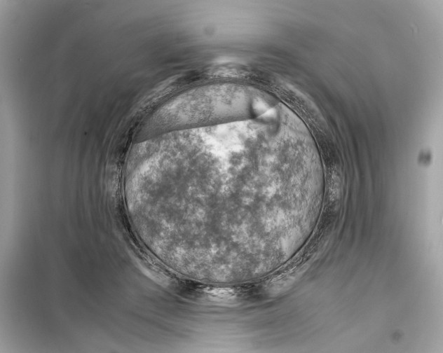 X0000098220409200805221653