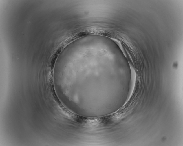 X0000098220411200805221653