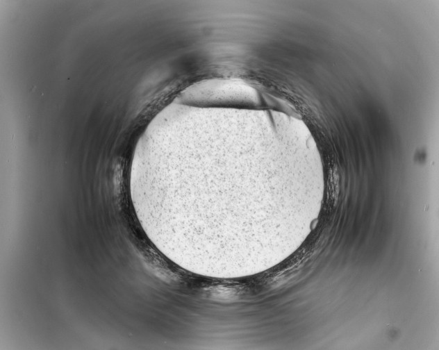 X0000098220412200805221652