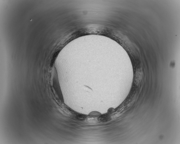 X0000098220413200805221652