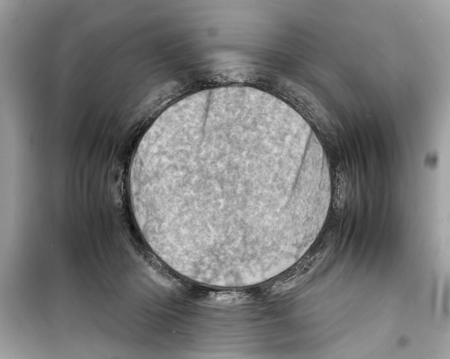 X0000098220414200805221652