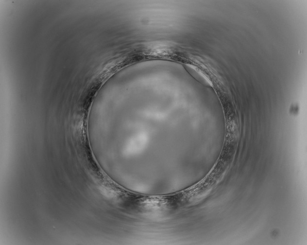 X0000098220415200805221652