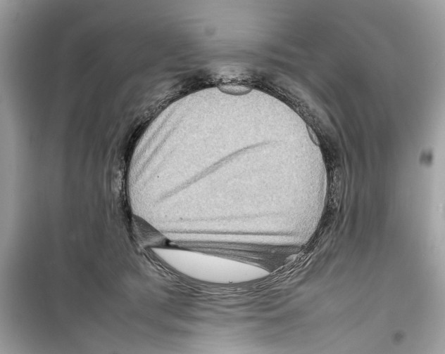X0000098220417200805221652