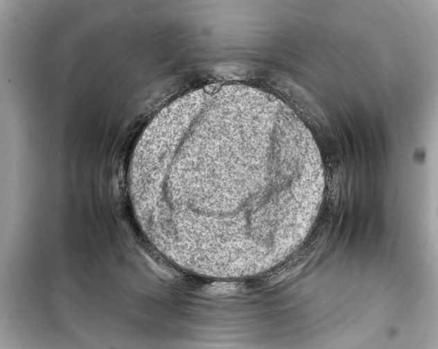 X0000098220418200805221652