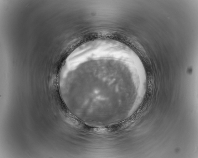 X0000098220419200805221652