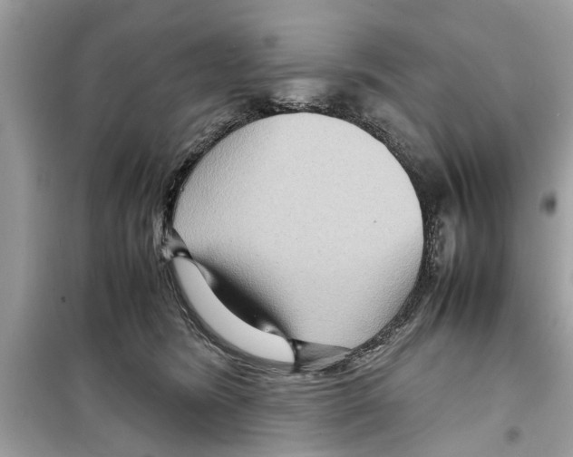 X0000098220420200805221652