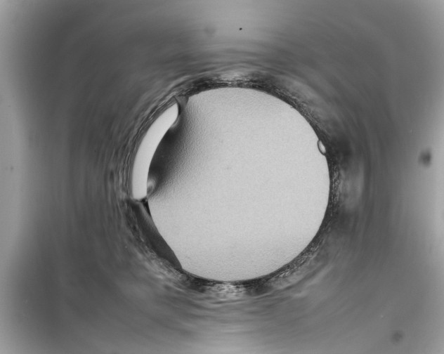 X0000098220421200805221652