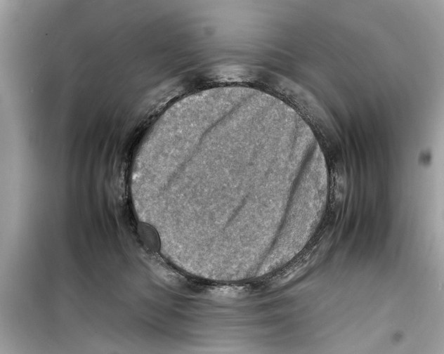 X0000098220422200805221652
