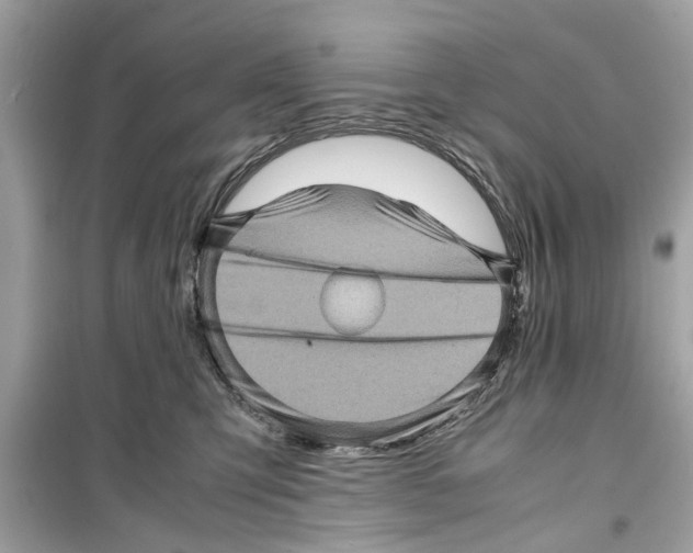 X0000098220423200805221652