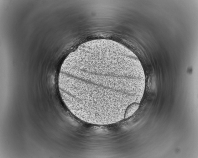 X0000098220424200805221652