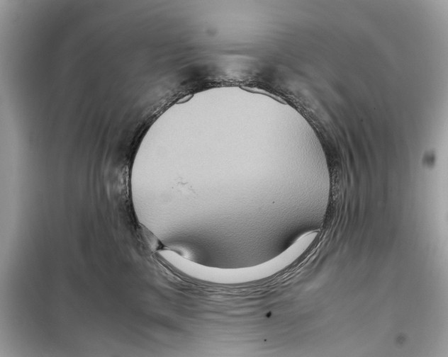 X0000098220425200805221652