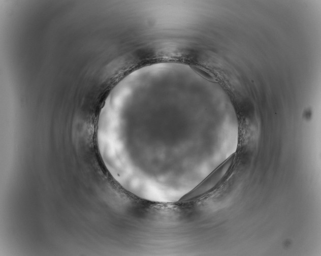 X0000098220427200805221652