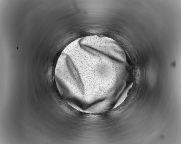 X0000098220428200805221652
