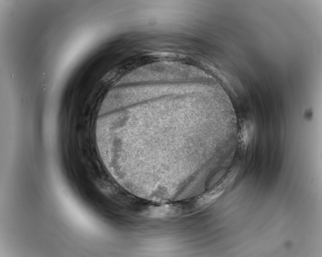 X0000098220430200805221652
