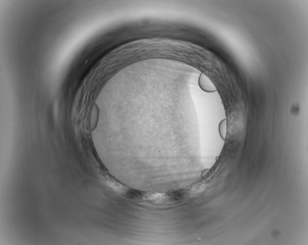 X0000098220431200805221652