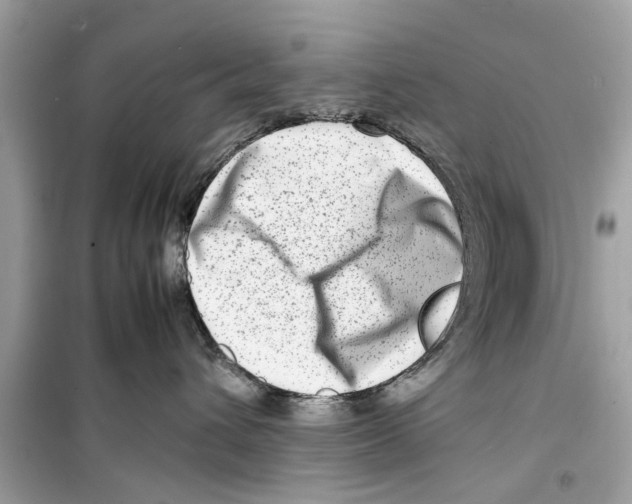X0000098220432200805221652