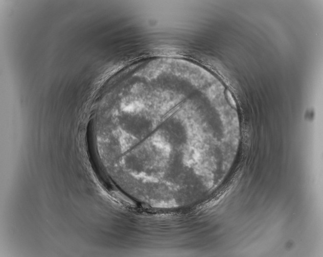 X0000098220433200805221652