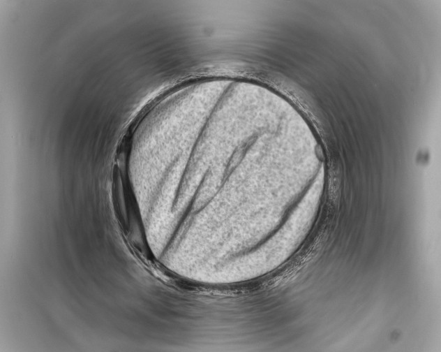 X0000098220434200805221652