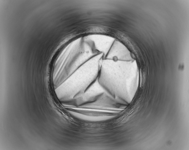X0000098220435200805221652