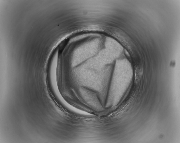 X0000098220436200805221652