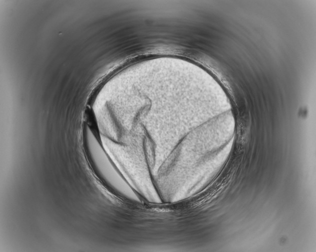 X0000098220437200805221652