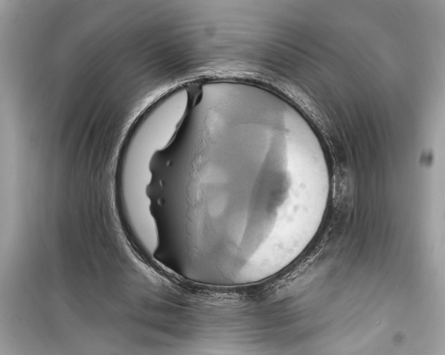 X0000098220438200805221652