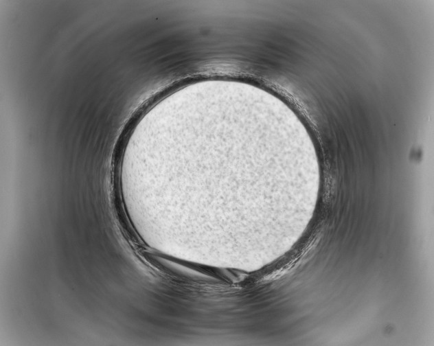 X0000098220439200805221652