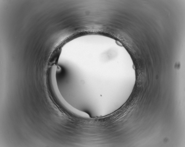 X0000098220440200805221652