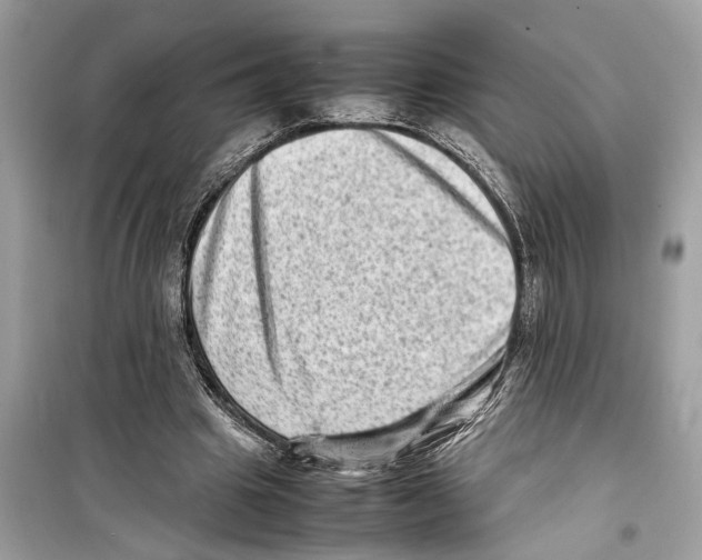 X0000098220441200805221652