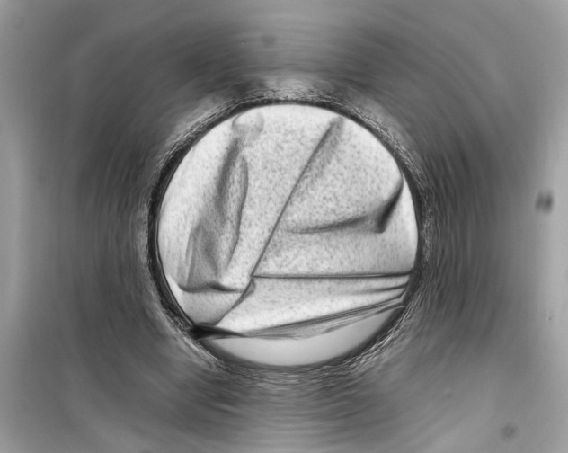 X0000098220442200805221652