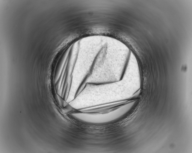 X0000098220443200805221652