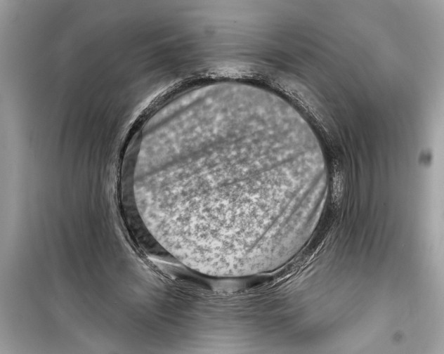 X0000098220444200805221652