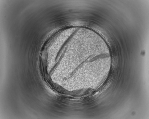 X0000098220445200805221652