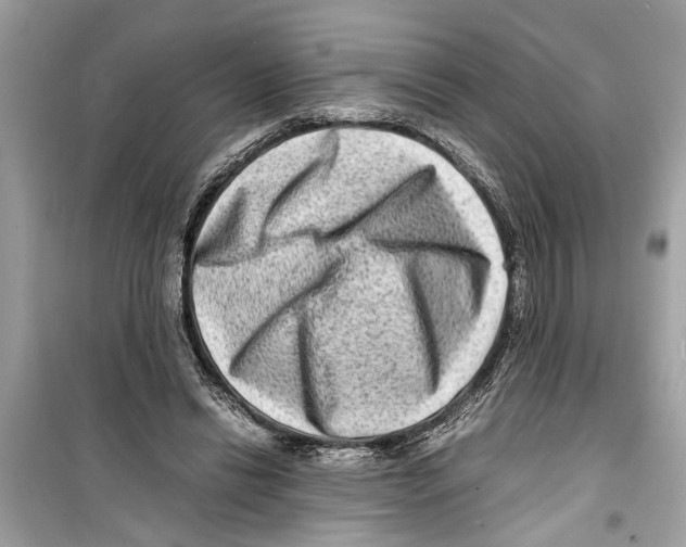 X0000098220446200805221652