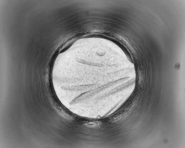 X0000098220447200805221652