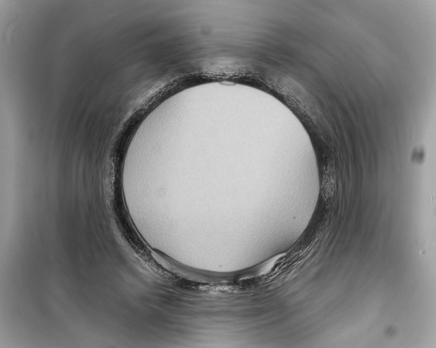 X0000098220448200805221652