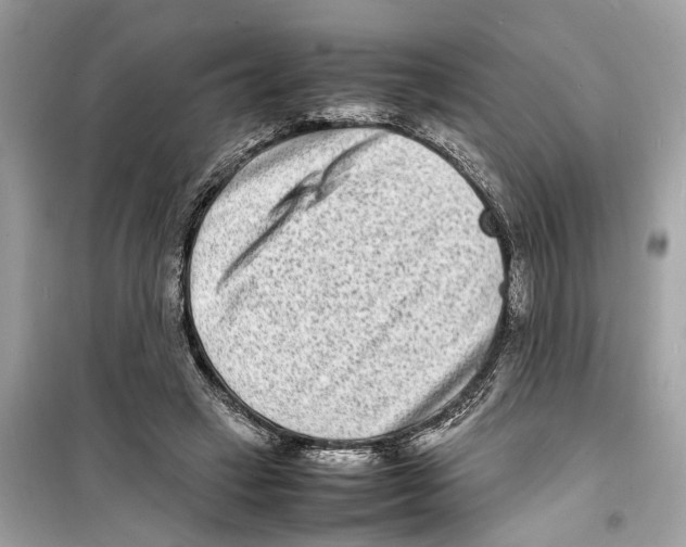 X0000098220449200805221652