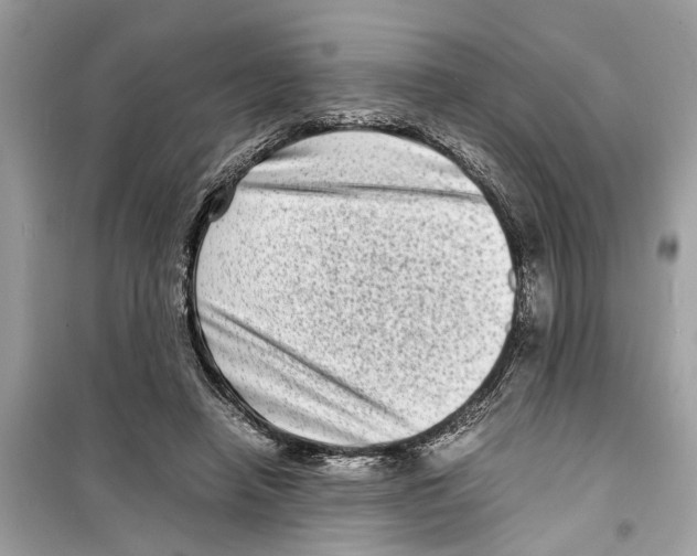 X0000098220450200805221652