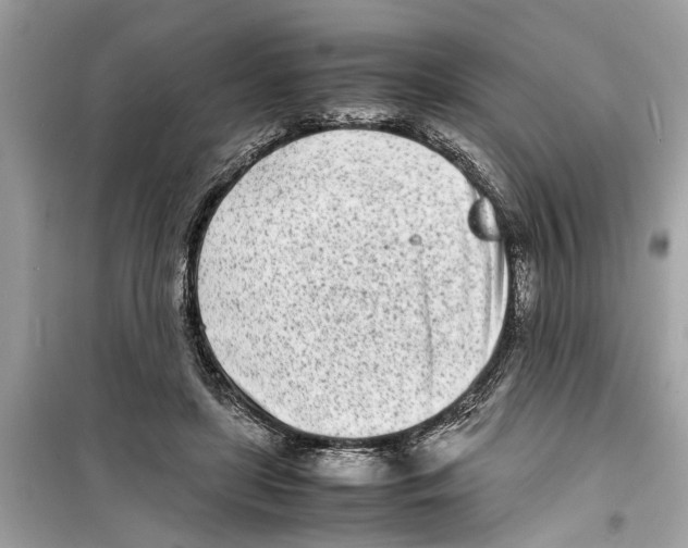 X0000098220451200805221652