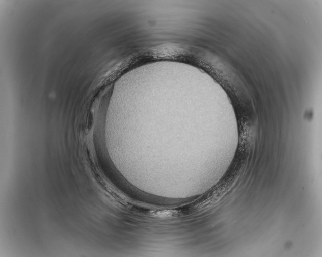 X0000098220452200805221652