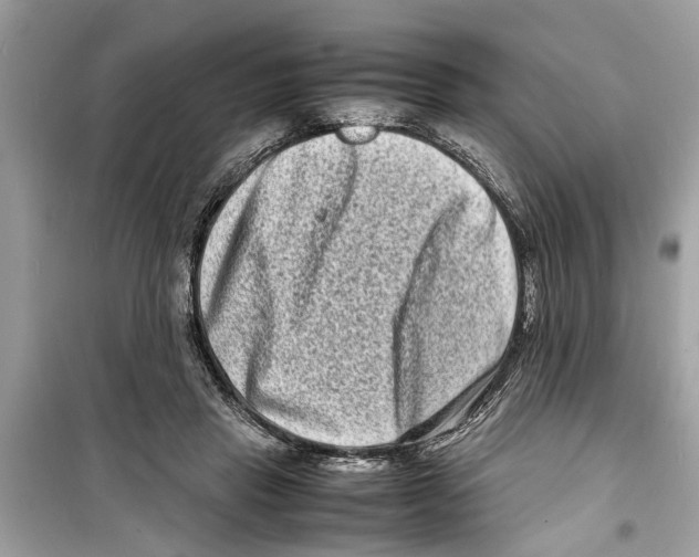 X0000098220453200805221652