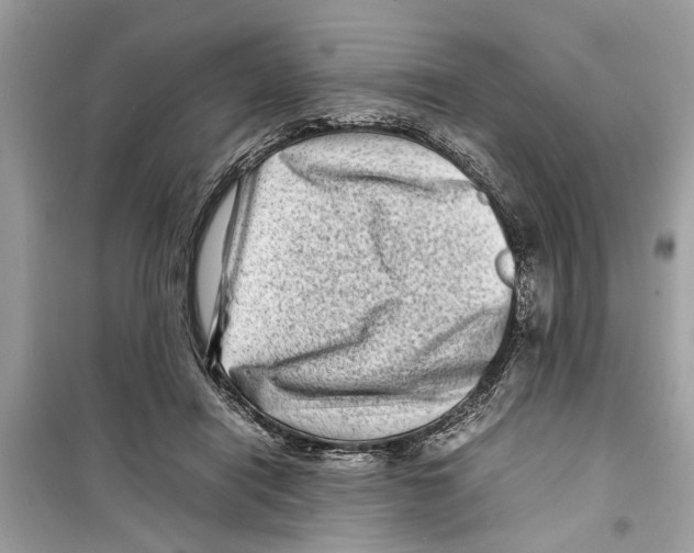 X0000098220454200805221652