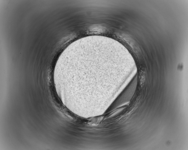 X0000098220455200805221652